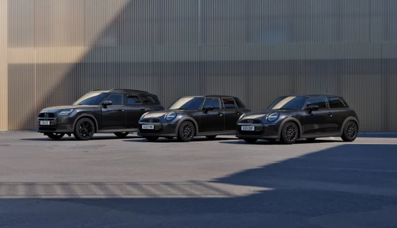 DIE MINI BLACKYARD FAMILIE.