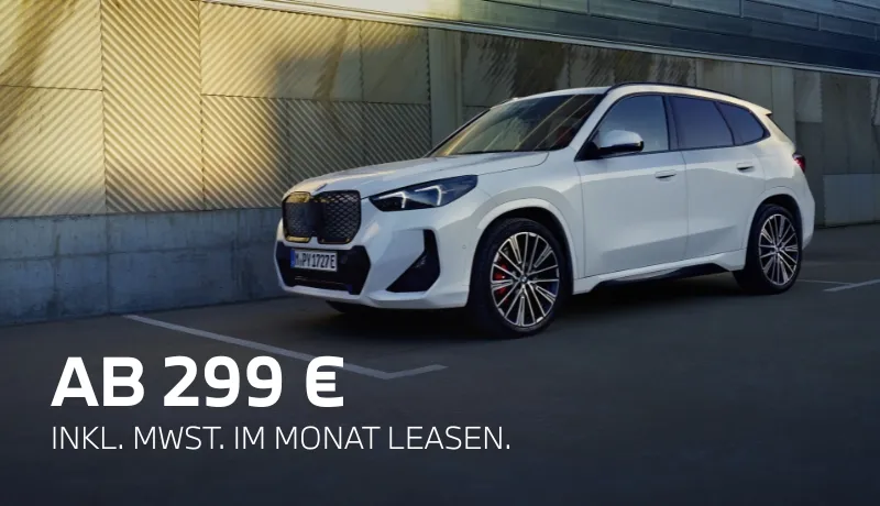 THE iX1.