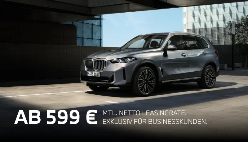 THE X5