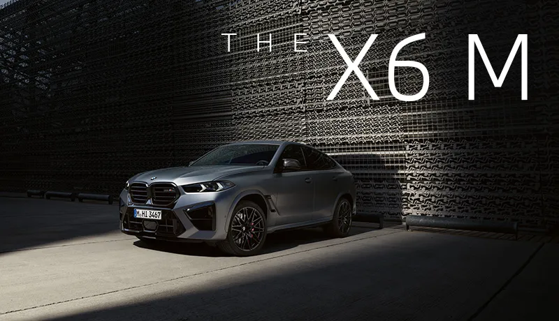 THE X6 M